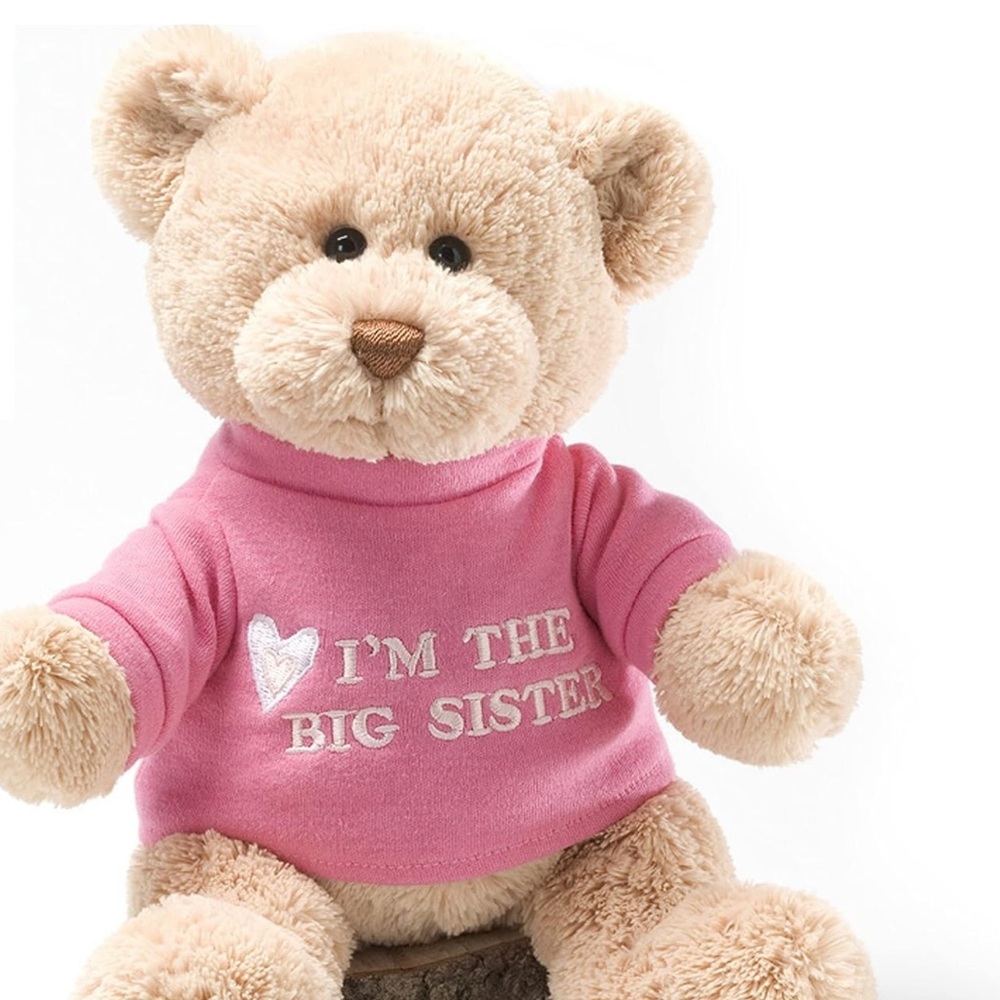 🎀GUND🐻 “I’m the Big Sister” Bear